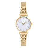 Ted Baker - Staciie - Gold