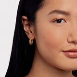 Ted Baker Jewellery - Dotetta Dotty Hoops - Gold