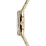 Ted Baker - Caine - Gold & Green