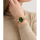 Ted Baker - Darbey - Green/Gold