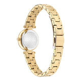 Ted Baker - Jolyye - Gold