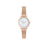 Ted Baker Watch - Staciie - Rose gold