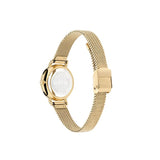 Ted Baker Watch - Staciie - Gold