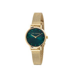 Ted Baker Watch - Staciie - Emerald/Gold