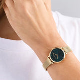 Ted Baker Watch - Staciie - Emerald/Gold