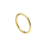 14KT Gold Segment hoop - 16G