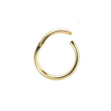 14KT Gold Segment hoop - 16G