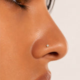 14KT Gold Cubic Prong Set Nose stud - Gold