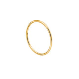 Segment hoop clicker - Gold -20g