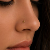 Titanium dotted nose stud - Gold