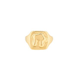 Stainless Steel Female Abstract Ring