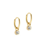Ted Baker Jewellery - Sinalaa Crystal Huggies - Gold