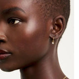 Ted Baker Jewellery - Sinalaa Crystal Huggies - Gold