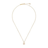 Ted Baker Jewellery - Petiies Flower Necklace - Gold